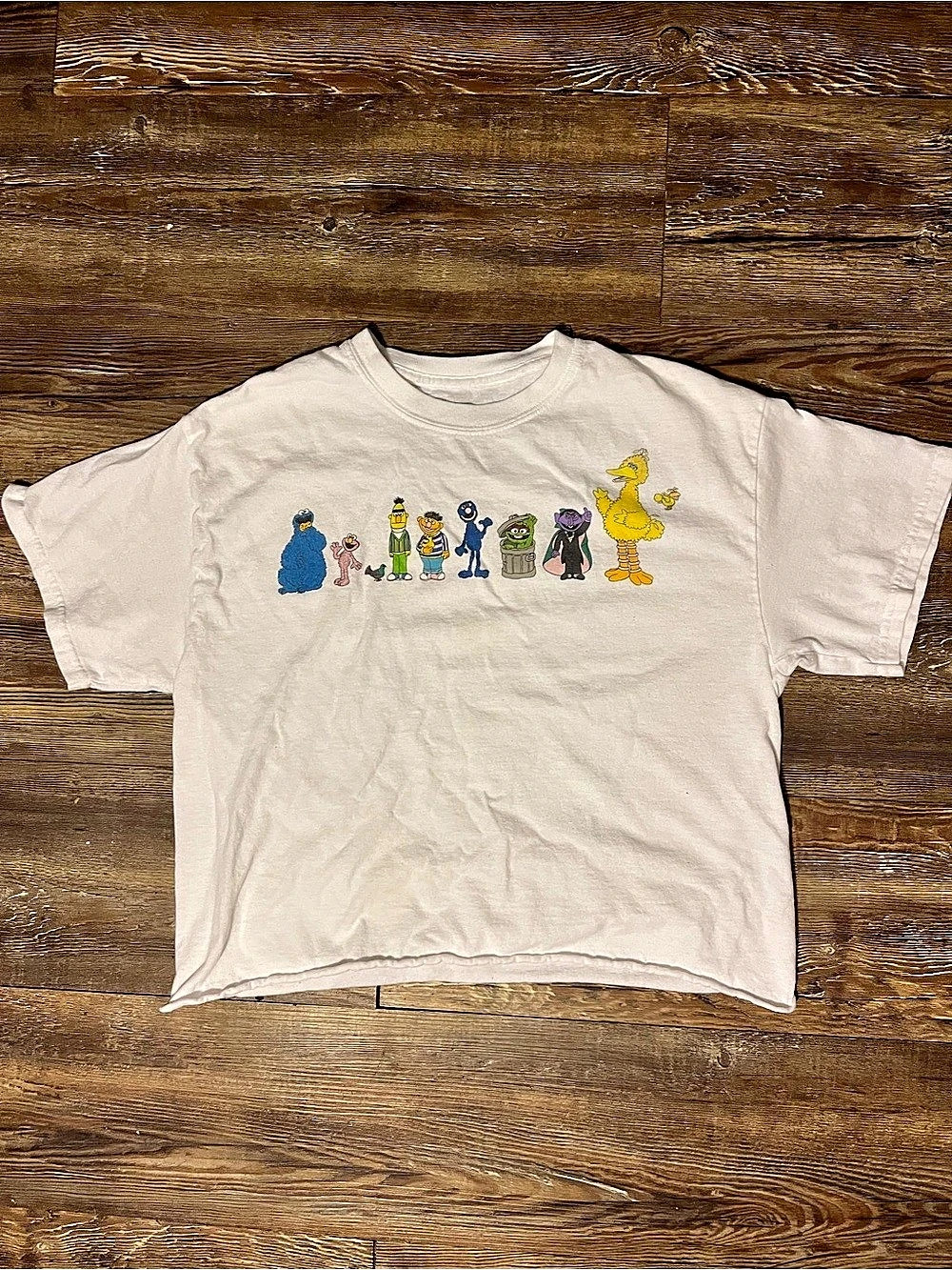 Sesame Street Classic Characters Line-Up Graphic T-Shirt Graphic